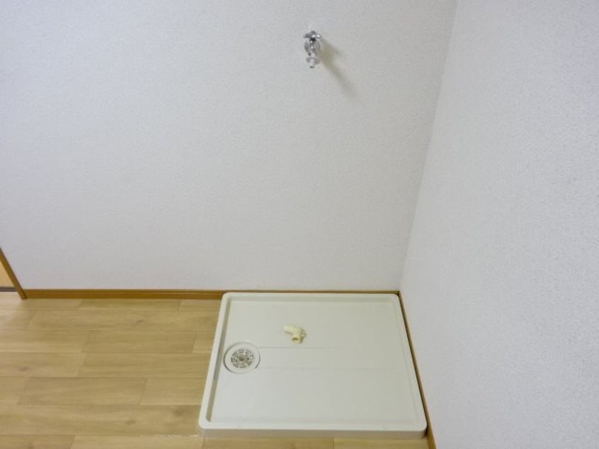 参考写真 サザンクロス谷地