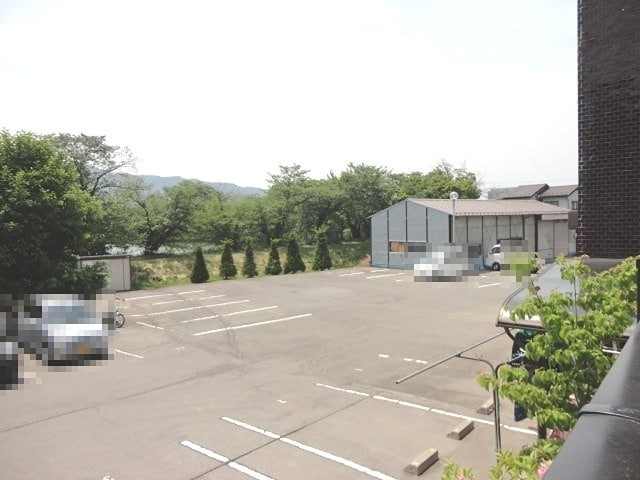 参考写真 さくら小径