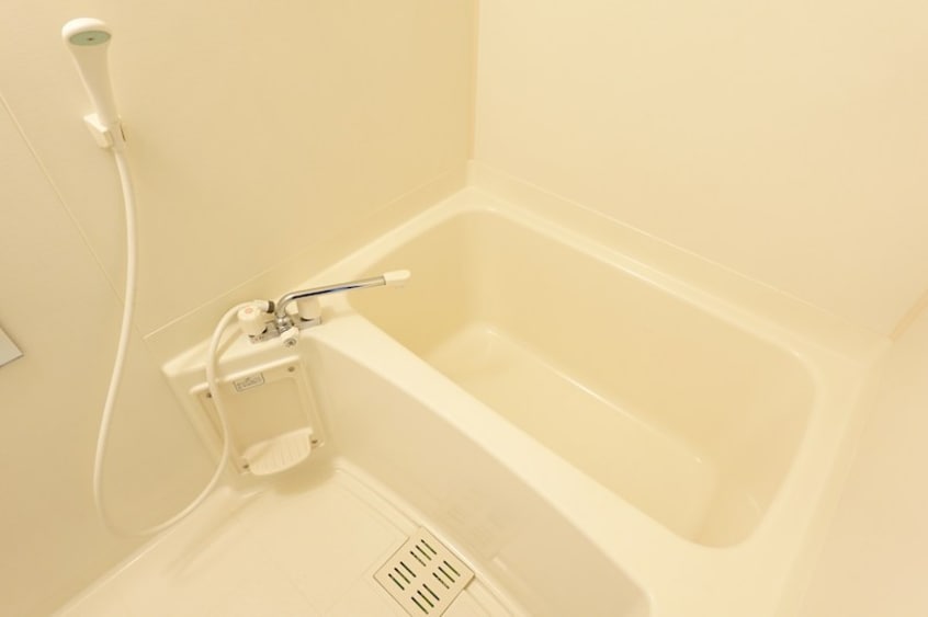 参考写真 さくら小径