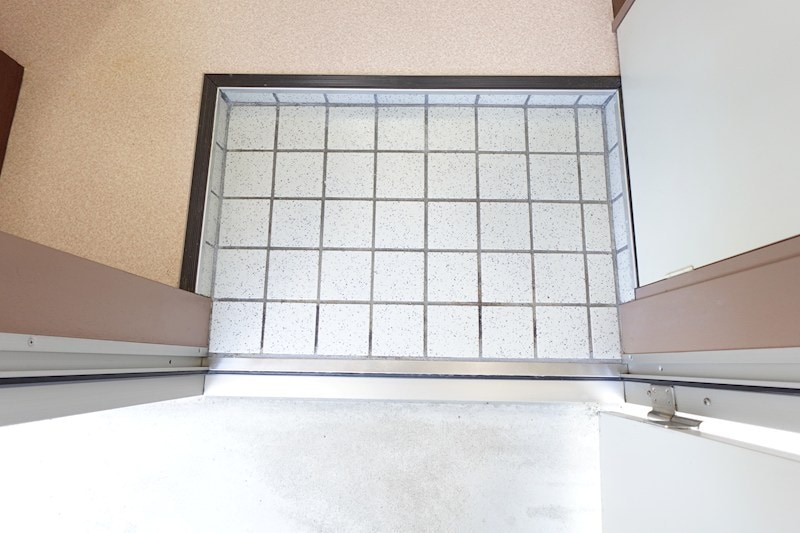 参考写真 さくら小径