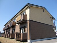 Surplus Gentil（サープラスジャンティ）