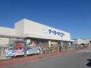 ﾃﾞｲﾂｰ丸子店(電気量販店/ホームセンター)まで619m ミニョン　バティマンＡ