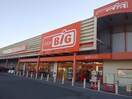 The Big（ｻﾞ･ﾋﾞｯｸﾞ） しおだ野店(スーパー)まで567m リバーパークＣ
