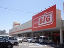 ｻﾞ･ﾋﾞｯｸﾞ 上田中央店(スーパー)まで1653m ルピナスKANAI