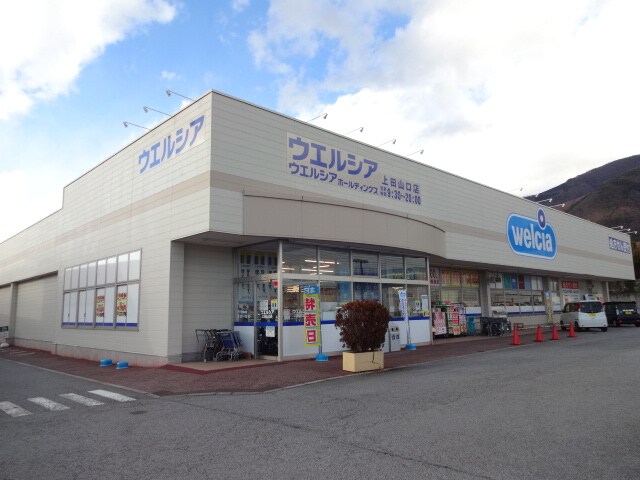 ｳｴﾙｼｱ 上田山口店(ドラッグストア)まで1313m ルピナスKANAI