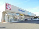 ｳｴﾙｼｱ上田真田店(ドラッグストア)まで1038m グリーンヒルミサワA棟