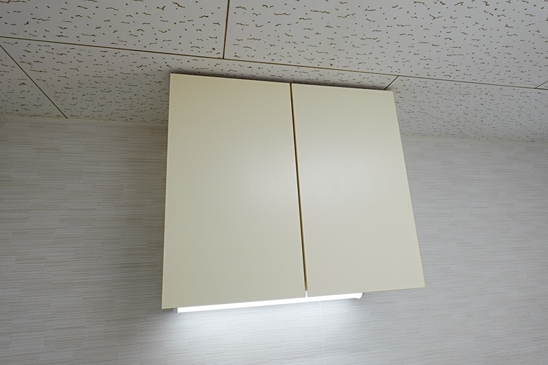  ラヴィアンローズII