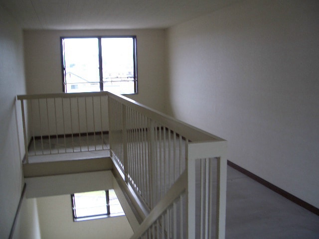  ラヴィアンローズII