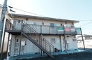  エイペックＹＴ