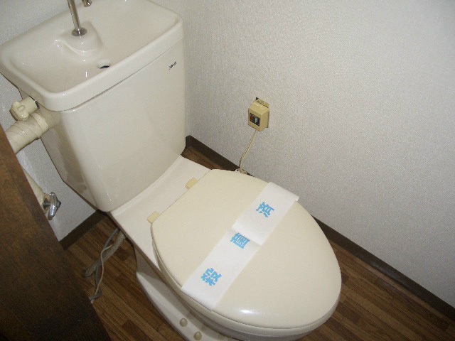 参考写真 エイペックＹＴ