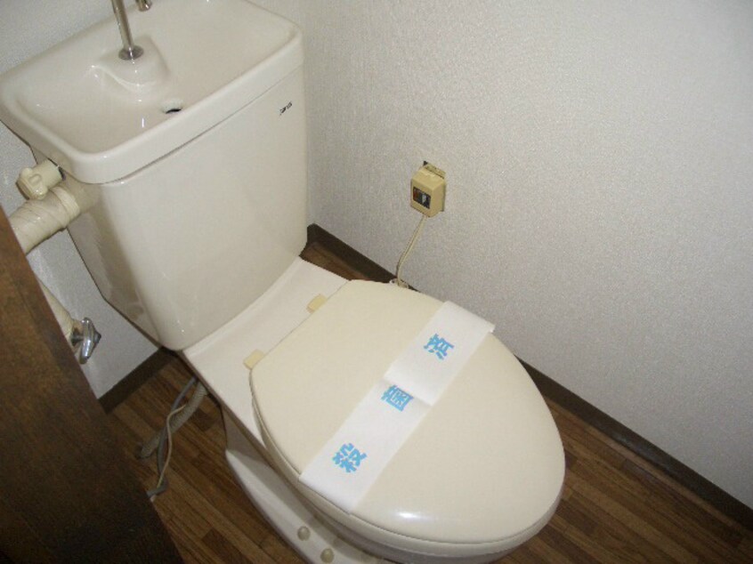 参考写真 エイペックＹＴ