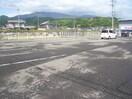 参考写真 エイペックＹＴ