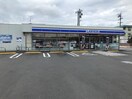 ﾛｰｿﾝ 上田芳田新町店(コンビニ)まで234m エイペックＹＴ