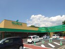 ﾂﾙﾔかのう店(スーパー)まで1418m エイペックＹＴ