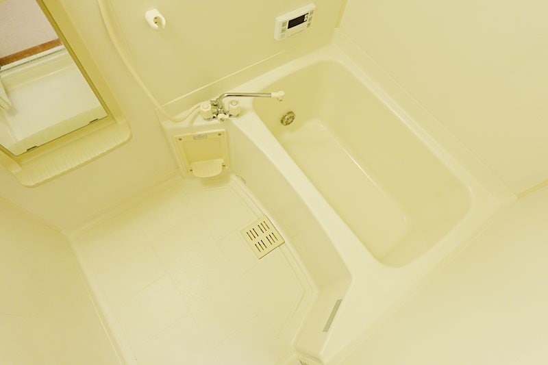  エヴァーグリーンＡ