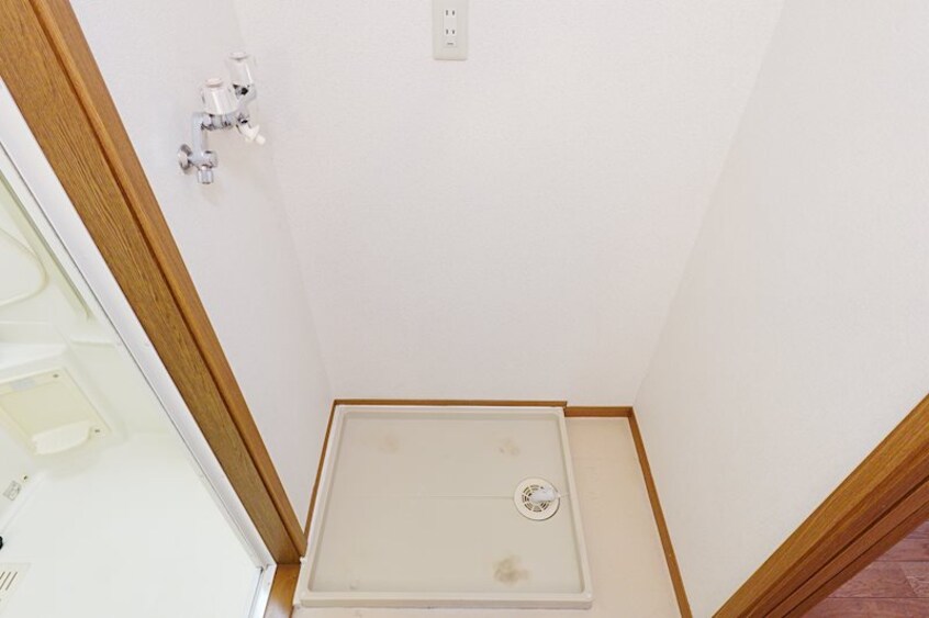  エヴァーグリーンＡ