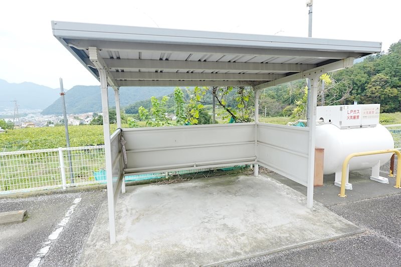  エヴァーグリーンＡ