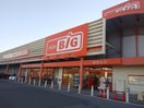 The Big（ｻﾞ･ﾋﾞｯｸﾞ） しおだ野店(スーパー)まで723m 上田電鉄別所線/寺下駅 徒歩13分 2階 築11年