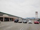 ﾗ･ﾑｰ上田築地店(スーパー)まで757m ノービレアビターレＢ棟