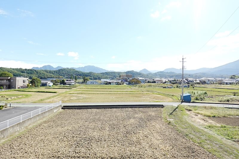  ルーラルブラッサムA