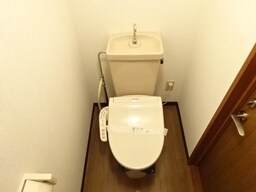 参考写真