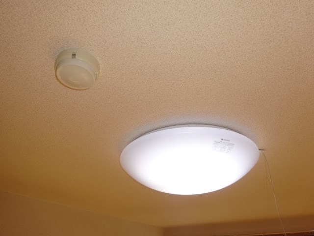 参考写真 コーポ松