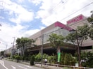 ｲｵﾝ 上田店(スーパー)まで1308m グランドディアスＣ棟