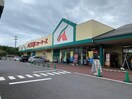 JA信州うえだ A･ｺｰﾌﾟﾌｧｰﾏｰｽﾞうえだ店 農産物直売所｢ﾏﾙｼｪ国分｣(スーパー)まで1602m ハイツハープＢ棟