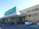 TSURUYA（ﾂﾙﾔ） 丸子店(スーパー)まで885m サンフローレＡ