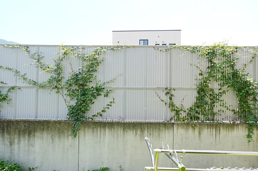  ラベンダーハウス