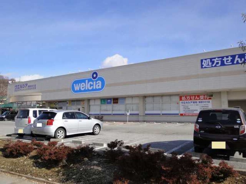 ｳｴﾙｼｱ東御田中店(ドラッグストア)まで1122m パナハイツクラウン