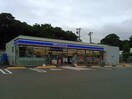 ﾛｰｿﾝ 上田岩下店(コンビニ)まで551m カーサ・プリート