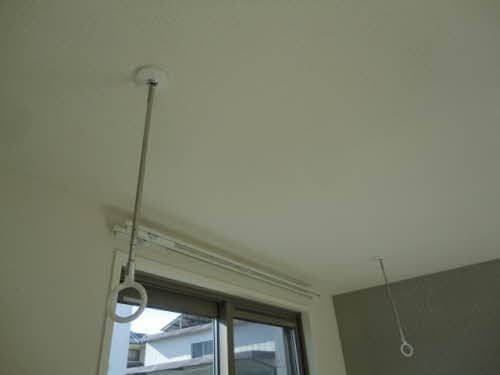 参考写真 ドリームフォレスト