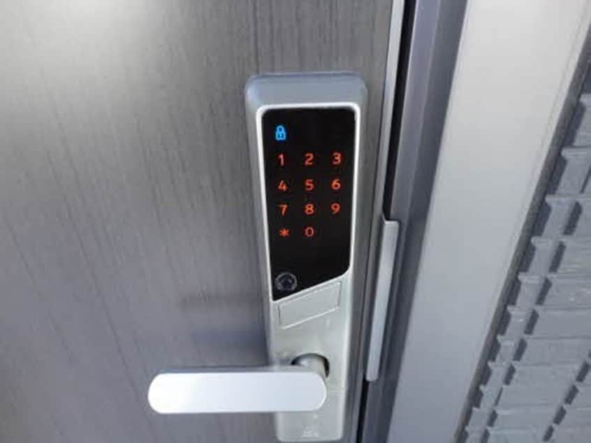 参考写真 ドリームフォレスト