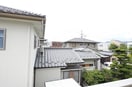 参考写真 セジュールりんどう　D