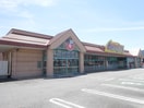 ｱﾒﾘｶﾝﾄﾞﾗｯｸﾞ塩田店(ドラッグストア)まで930m サンライフしおだB