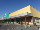 TSURUYA（ﾂﾙﾔ） 神畑店(スーパー)まで1576m 篠原マンション