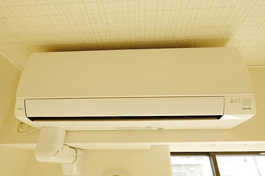  パタマ　サイアム