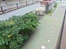  上田電鉄別所線/上田駅 徒歩29分 1階 1年未満