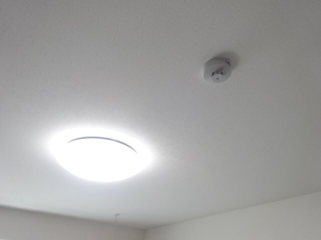  セジュールオッツ・YSK