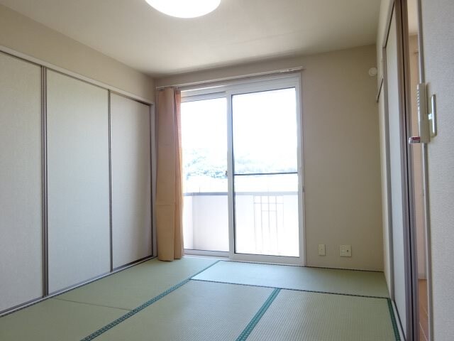 参考写真 バリュージュトラウムC