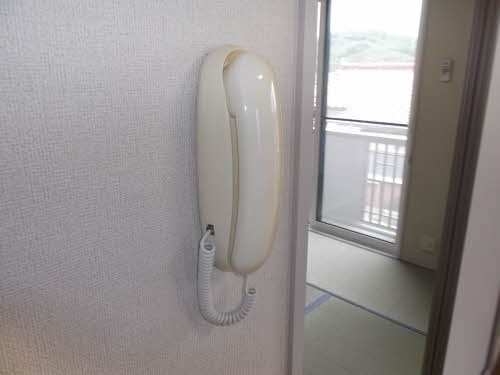 参考写真 バリュージュトラウムC
