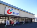 ｶﾜﾁ薬品 上田北店(ドラッグストア)まで892m 上田市街地循環バス赤運行/長野計器前 1階 1年未満