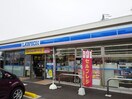 ﾛｰｿﾝ 上田二の丸店(コンビニ)まで416m トリシア八幡