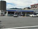 ﾛｰｿﾝ 上田中央一丁目店(コンビニ)まで251m トリシア横町WEST