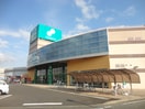 AOKIJIMA SHOPPING PARK（青木島ショッピングパーク）(ショッピングセンター/アウトレットモール)まで4295m 信越本線/安茂里駅 徒歩7分 2階 築26年