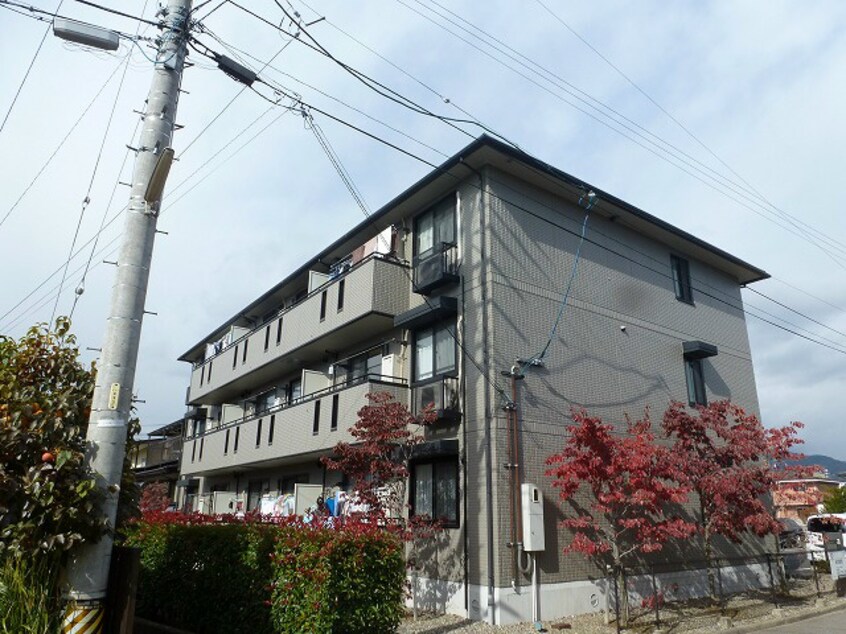  グランコスモ竹内