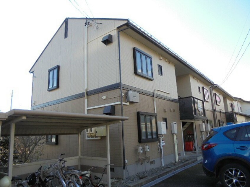  ディアスヤマーニ　B