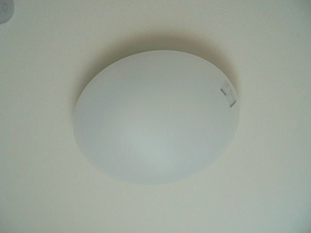  ディアスヤマーニ　B