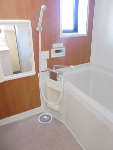  セフィラひまわり